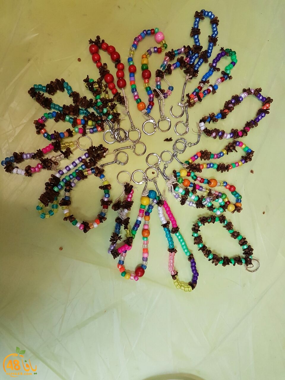 zhra2 kalb yaffa (5).JPG